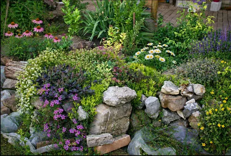 Decorative Boulders